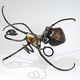 Illustration for article titled These Sculptures Turn Car Parts Into An Entire Animal Kingdom